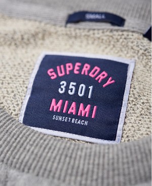 Superdry Applique Raglan Crew Női Pulóver Szürke | NUZTI3067